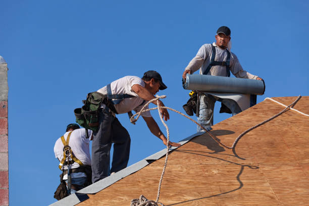 Best New Roof Installation  in Antigo, WI